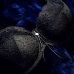 Empreinte automne/hiver 2011