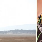 Diva Swimwear collection 2012