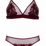 Scarlet Guipure Boudoir Bra and Guipure Derriere brief