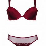 Scarlet Silk Push Up Plunge Bra