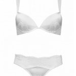 Silk Push up Plunge Bra and  Lace Derierre Brief