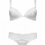 Silk Push up Plunge Bra and  Lace Derierre Brief