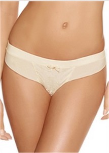 Brief
